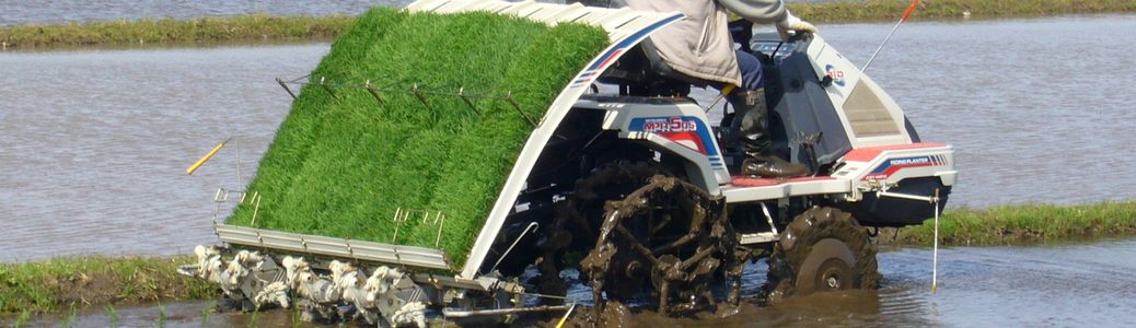 苗を積んで水田に苗を植える田植え機